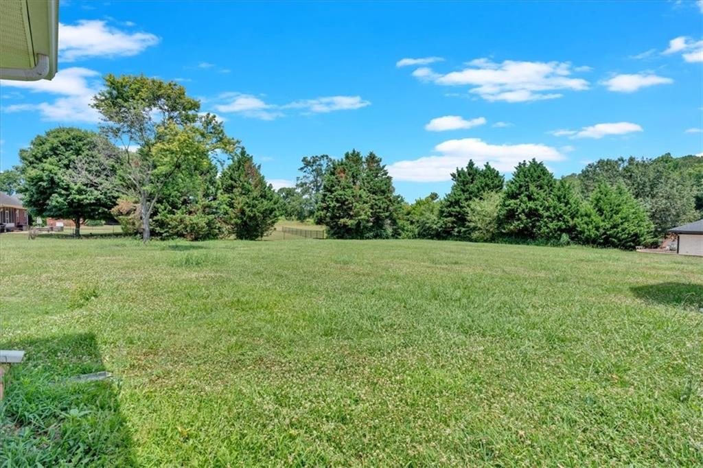 28 Summerwind Drive, Cedartown, Georgia image 39