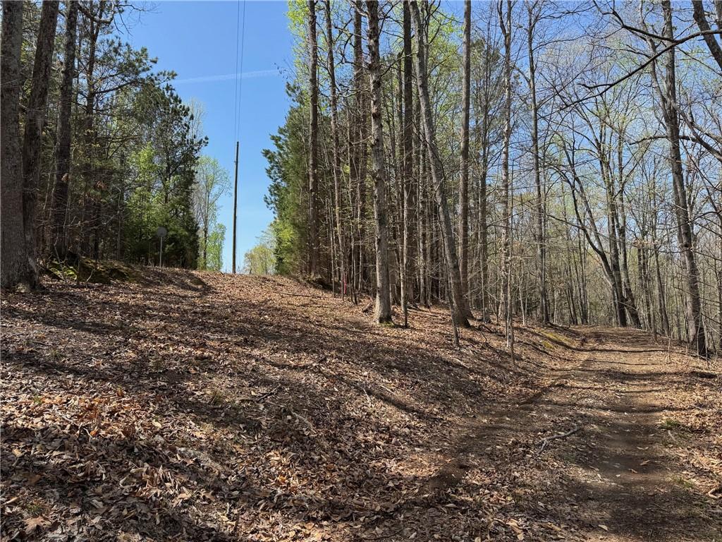 Bethel Road, Gainesville, Georgia image 9
