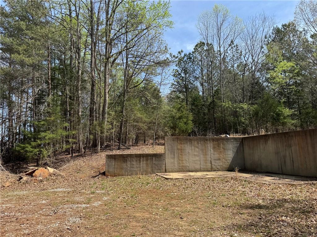 Bethel Road, Gainesville, Georgia image 7