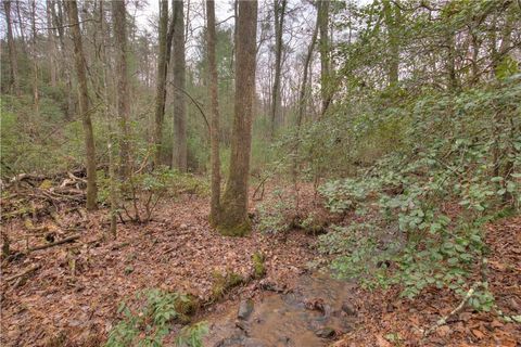 2152 Royal Fern Trail Big Canoe GA 30143