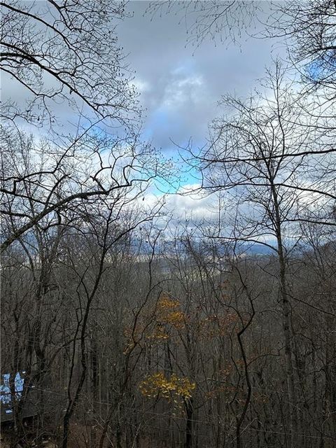 A home in Ellijay