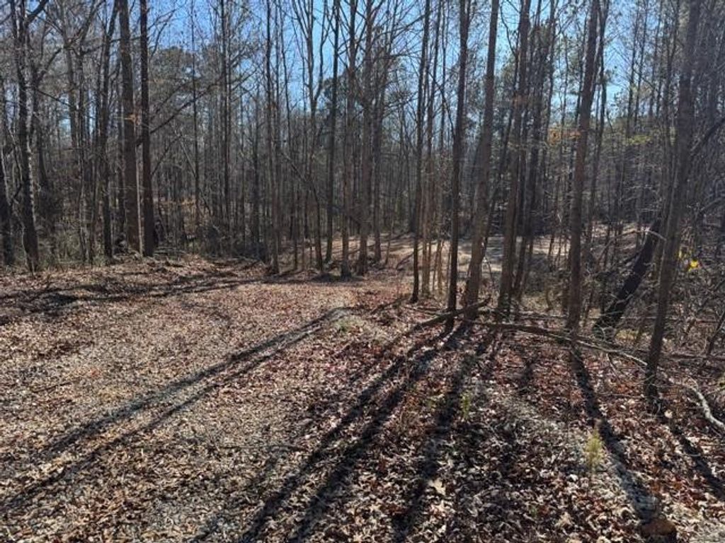 Photo of 727 Central High Road, Carrollton, GA 30116 (MLS # 7704929)