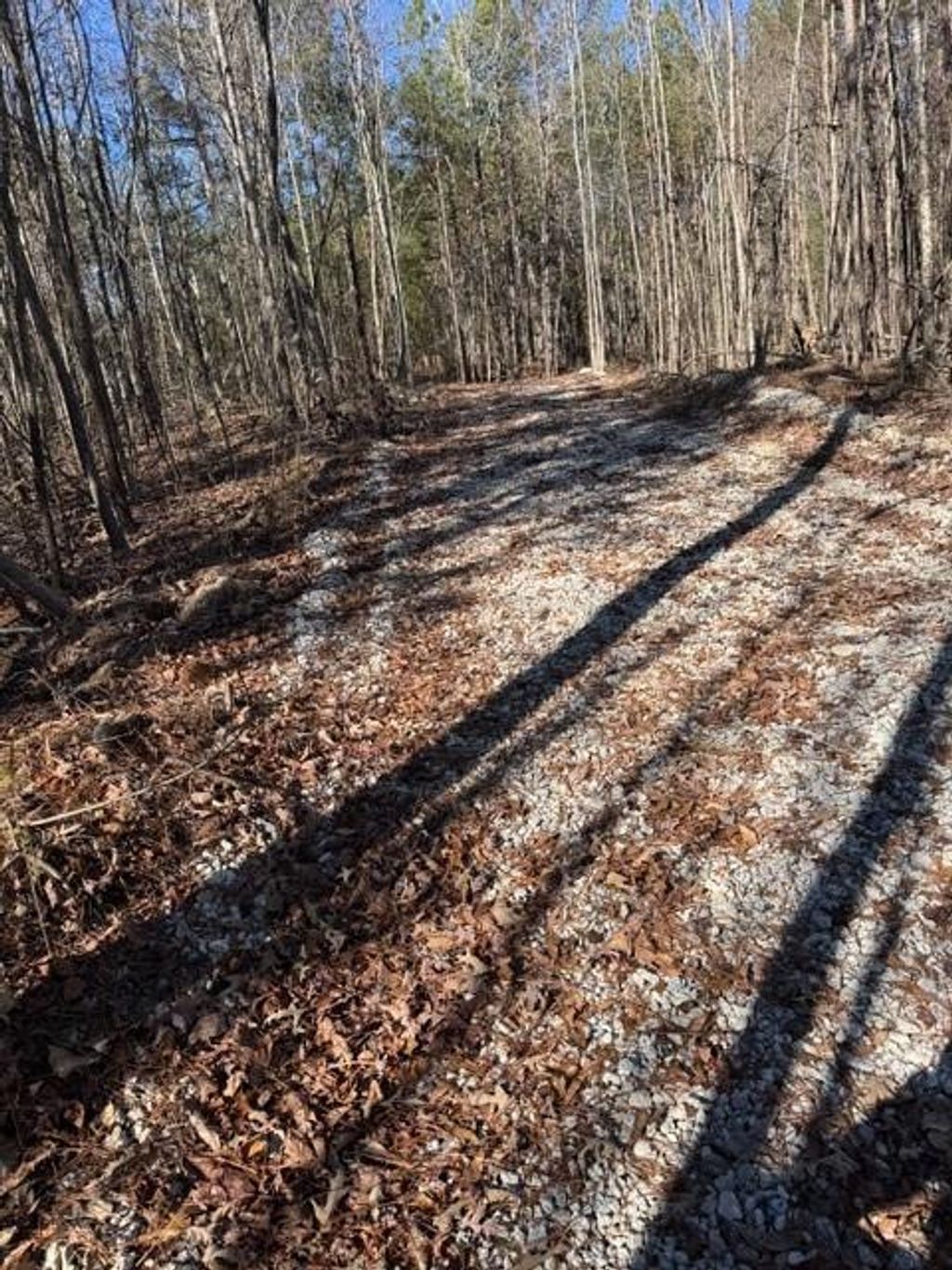 Photo of 727 Central High Road, Carrollton, GA 30116 (MLS # 7704929)