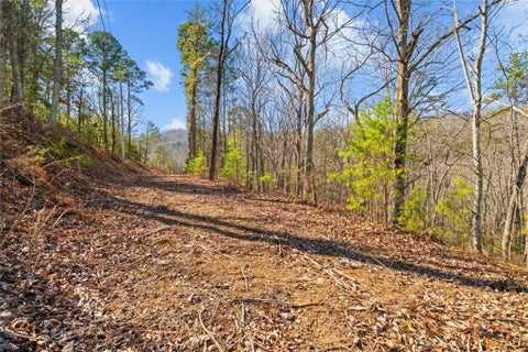 Vacant Land For Sale - 000 Deerfield Lane<br/> Calhoun, GA 30701