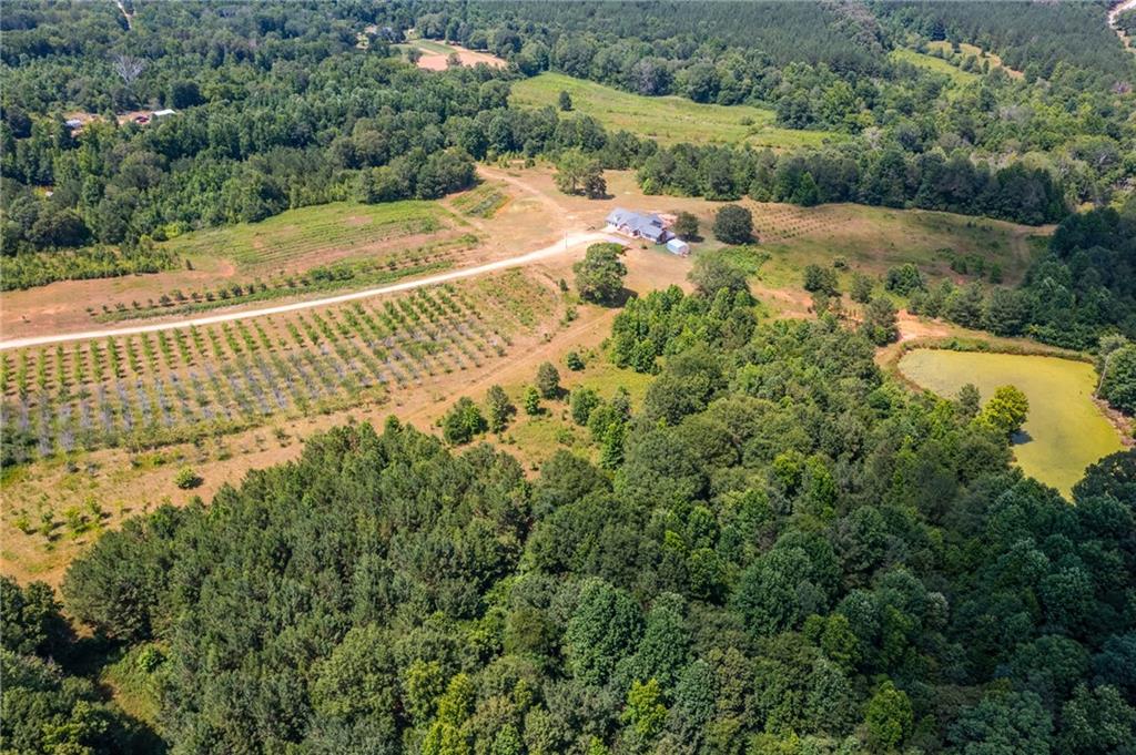 300 Carson Segars Road, Maysville, Georgia image 9