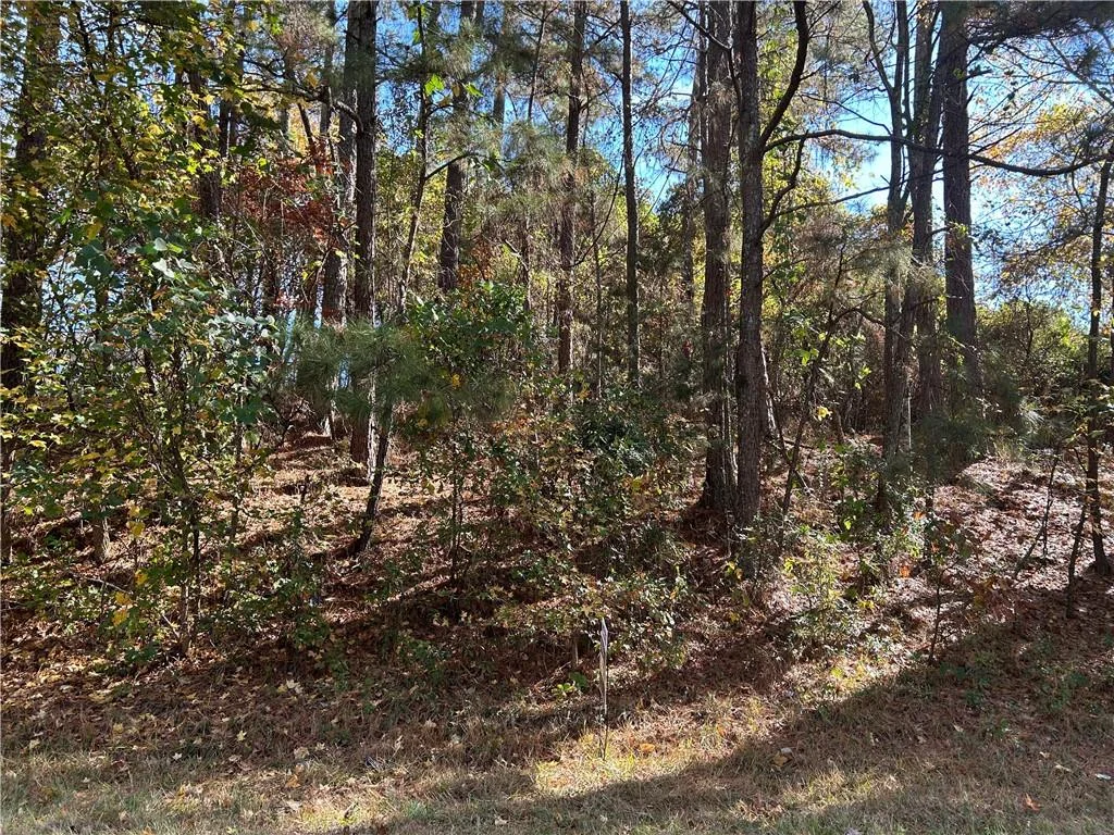 2090 Lee Peters Road