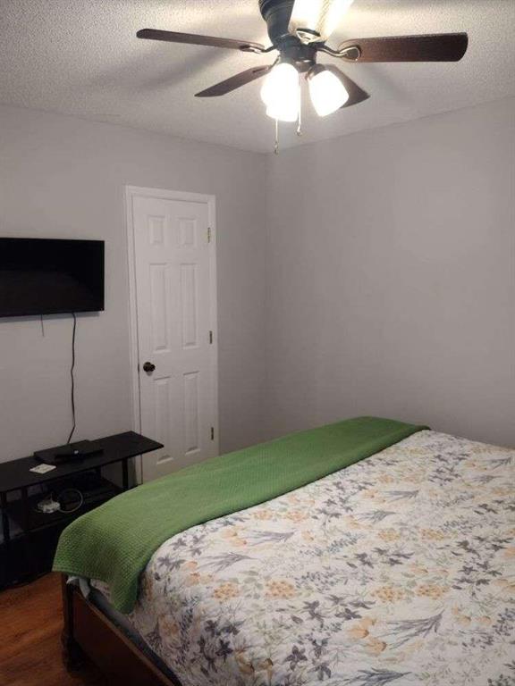 115 Elberta Street, Mcdonough, Georgia image 37