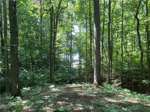 Vacant Land For Sale - 5782 Ridgewater Circle<br/> Gainesville, GA 30506