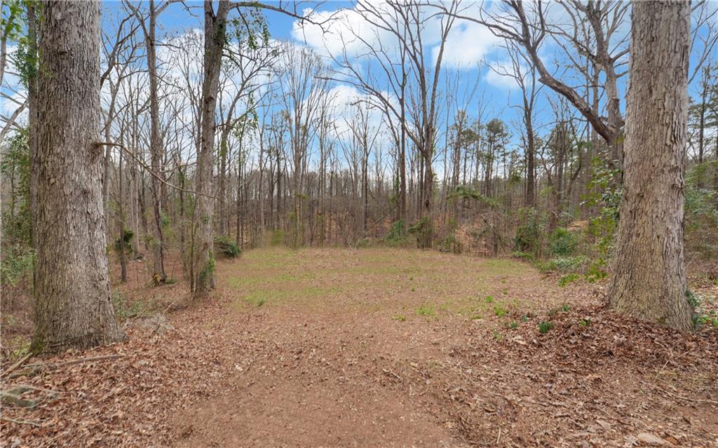 412 Winford Smith Road, Athens, Georgia image 27