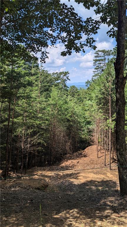 56 Oglethorpe Mountain Trail, Jasper, Georgia image 3