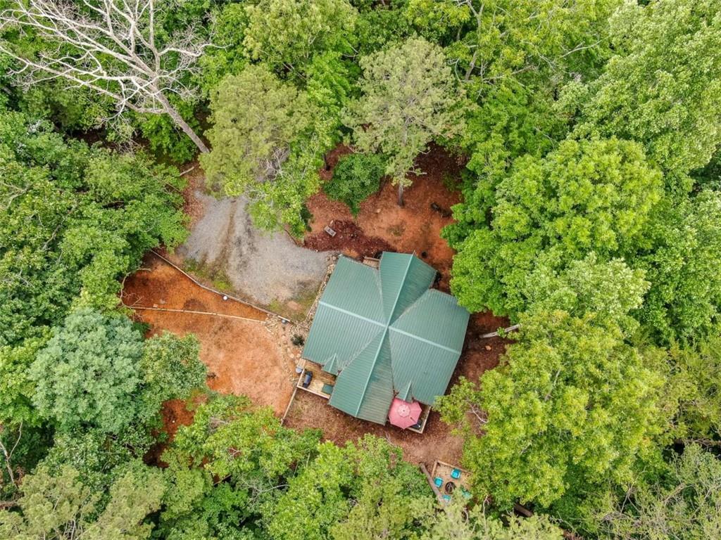 257 Acadia Drive, Ellijay, Georgia image 37