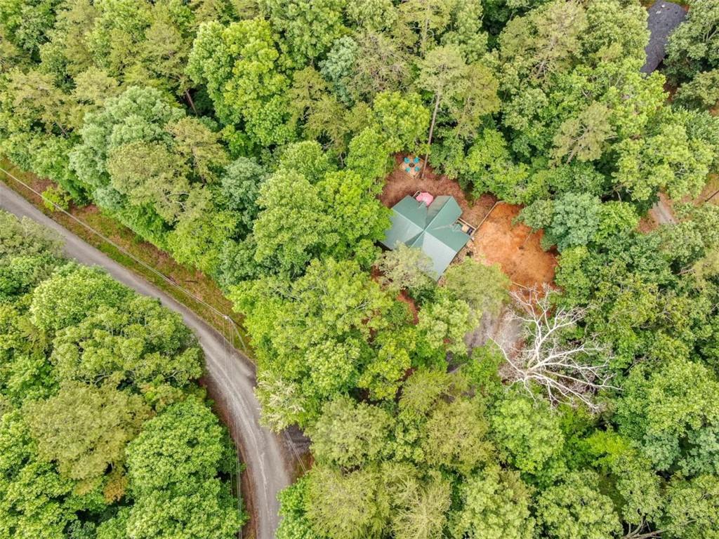 257 Acadia Drive, Ellijay, Georgia image 36