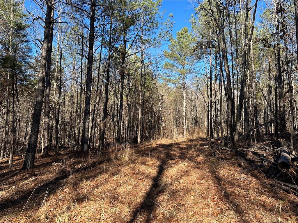 Budapest Road, Tallapoosa, Georgia image 6