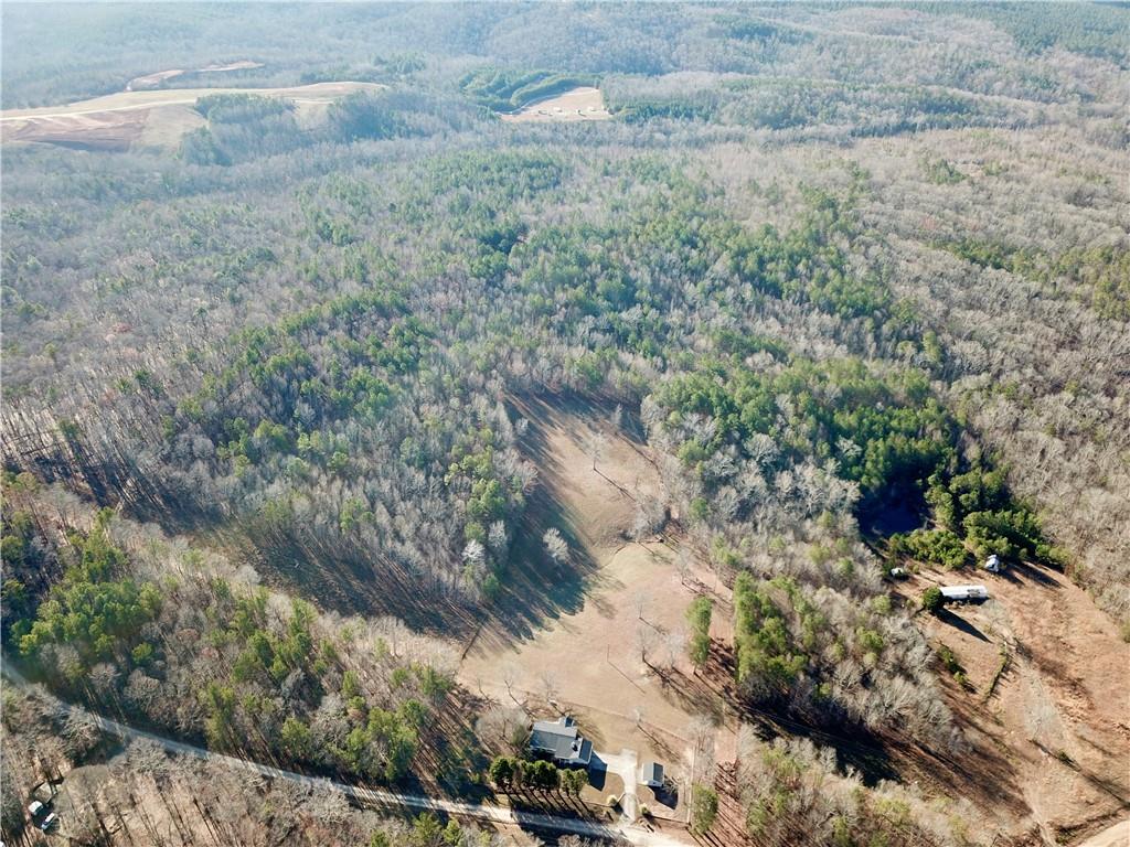 Budapest Road, Tallapoosa, Georgia image 17