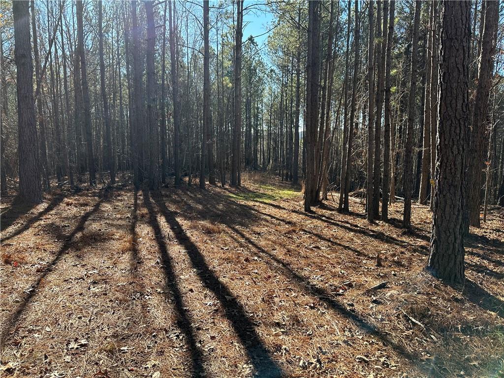 Budapest Road, Tallapoosa, Georgia image 9