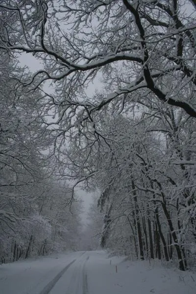 Jasper, Georgia 30143, United States, 6 Bedrooms Bedrooms, ,7 BathroomsBathrooms,Residential,Pending,22155