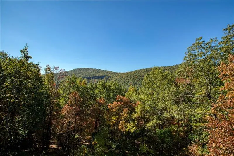 Jasper, Georgia 30143, United States, 6 Bedrooms Bedrooms, ,7 BathroomsBathrooms,Residential,Pending,22155