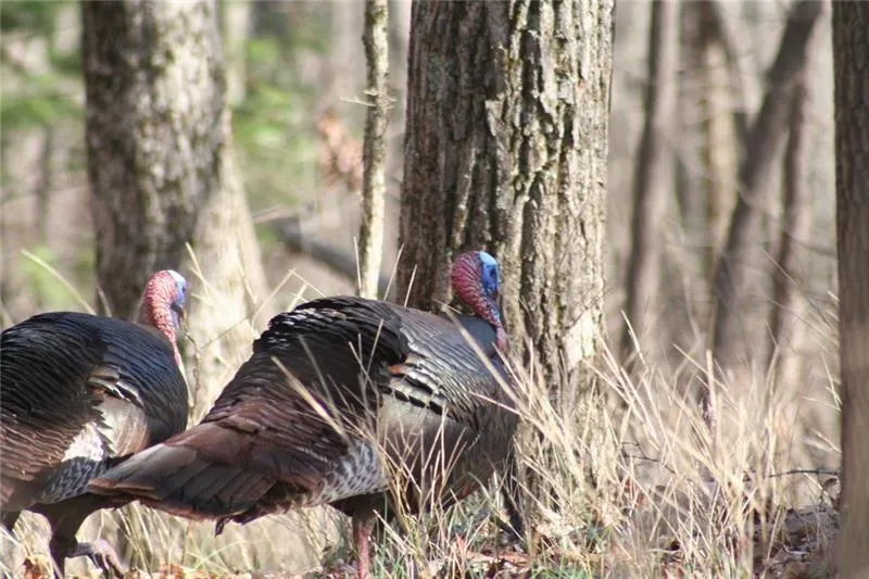 Jasper, Georgia 30143, United States, 6 Bedrooms Bedrooms, ,7 BathroomsBathrooms,Residential,Pending,22155