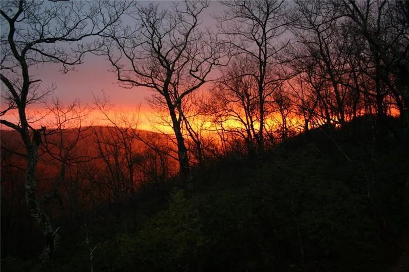 Jasper, Georgia 30143, United States, 6 Bedrooms Bedrooms, ,7 BathroomsBathrooms,Residential,Pending,22155