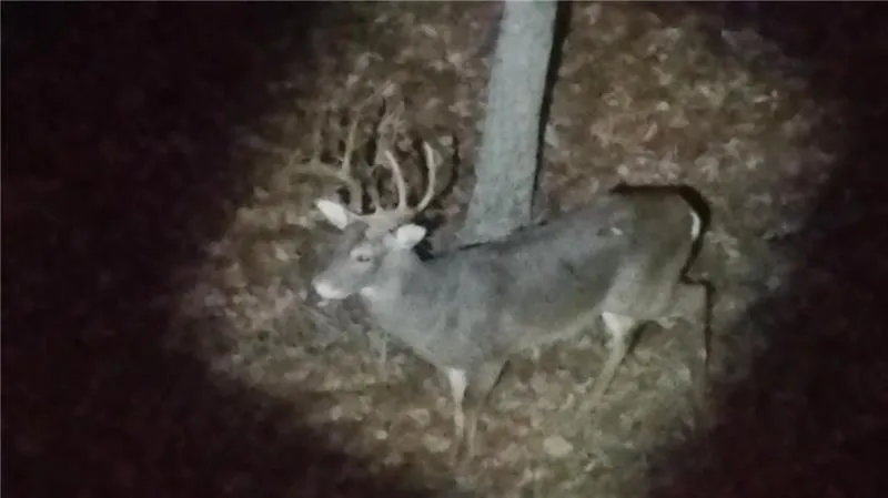 Jasper, Georgia 30143, United States, 6 Bedrooms Bedrooms, ,7 BathroomsBathrooms,Residential,Pending,22155