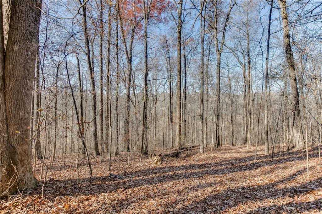 Millwood Road, Cumming, Georgia image 15