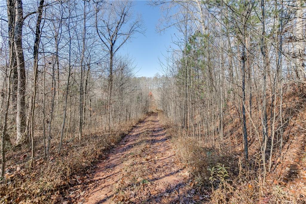 Millwood Road, Cumming, Georgia image 8