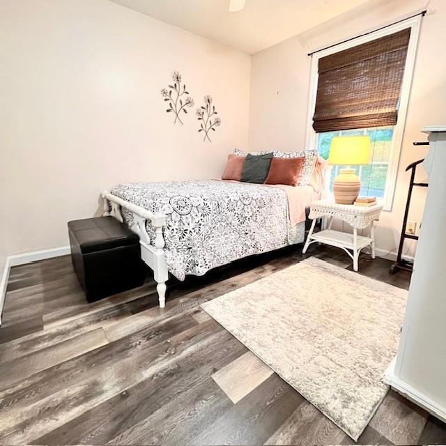 33 Mountain View Drive, Rockmart, Georgia image 28