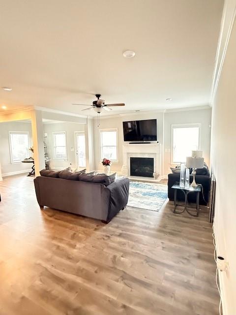 4210 Wild Country Court