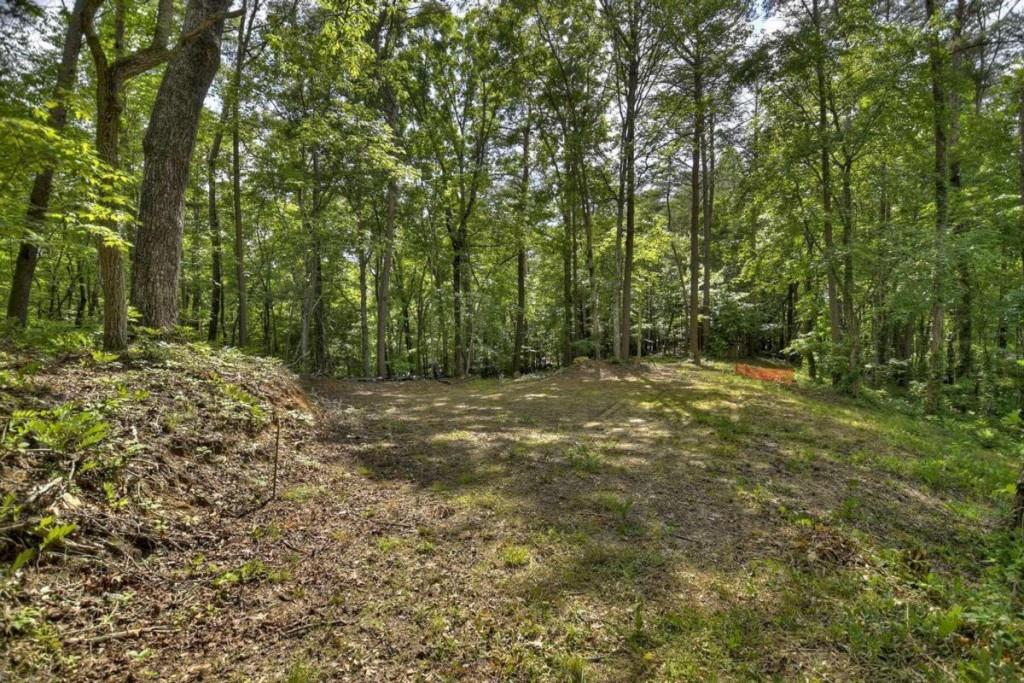 .33 AC Lakeshore Drive, Morganton, Georgia image 10