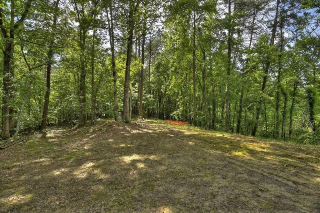 .33 AC Lakeshore Drive, Morganton, Georgia image 11