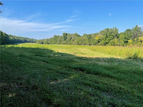 Unimproved Land in Fairmount GA 1370 Yarborough Mill Road.jpg