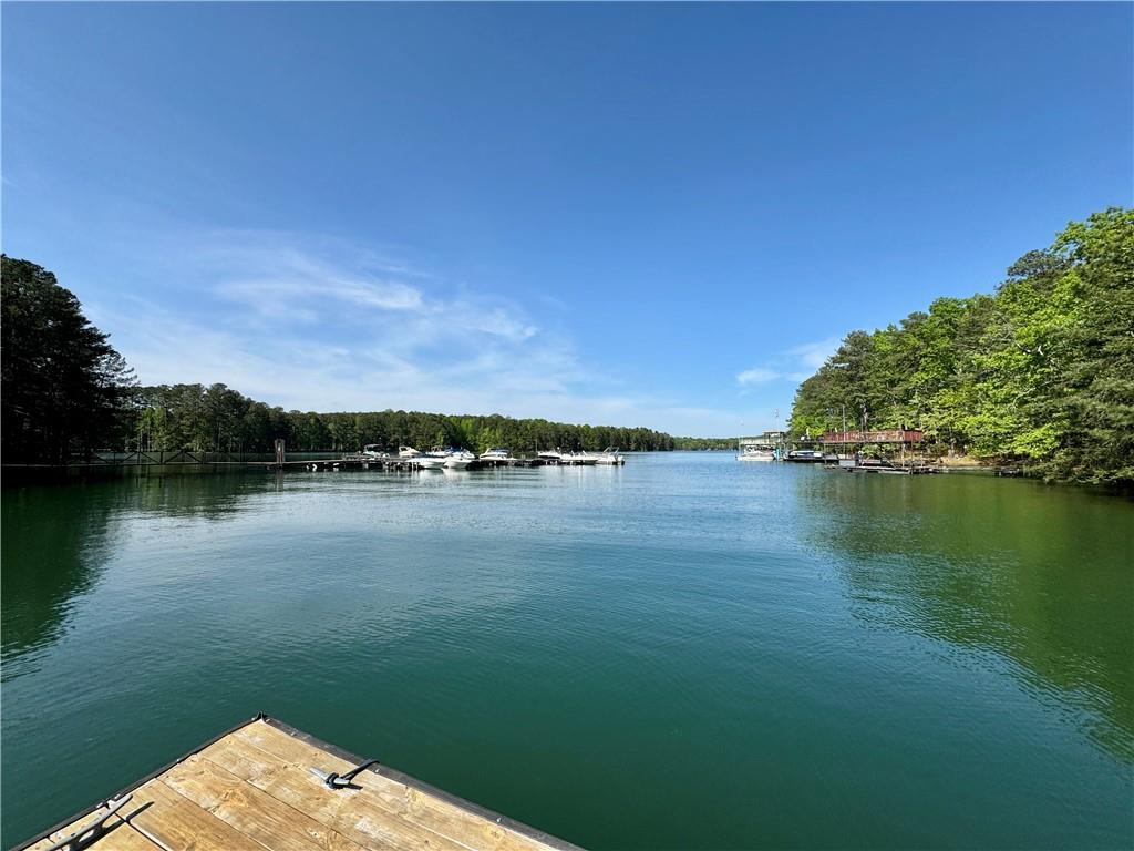 3650 Deep Cove Drive, Cumming, Georgia image 43