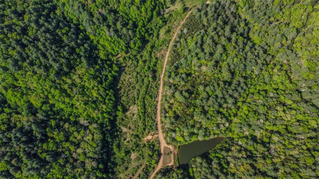 80 ACR Valley Lake Road