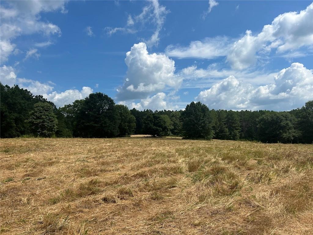 223 Riversong Road, Carrollton, Georgia image 12