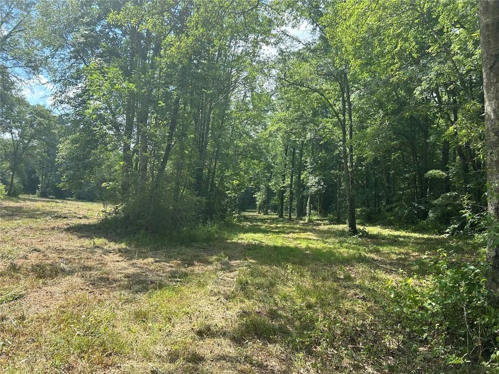 223 Riversong Road, Carrollton, Georgia image 17