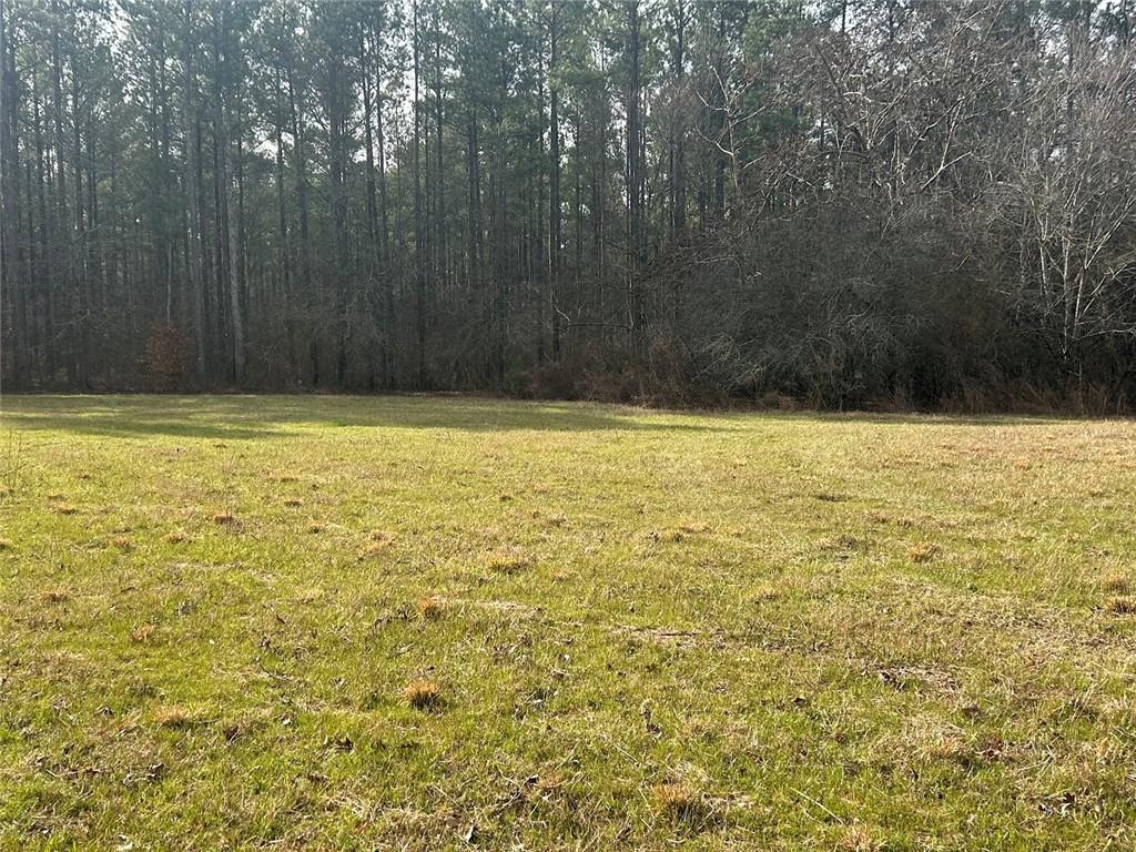223 Riversong Road, Carrollton, Georgia image 19