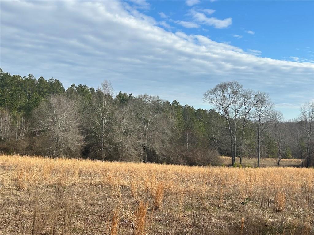 223 Riversong Road, Carrollton, Georgia image 18