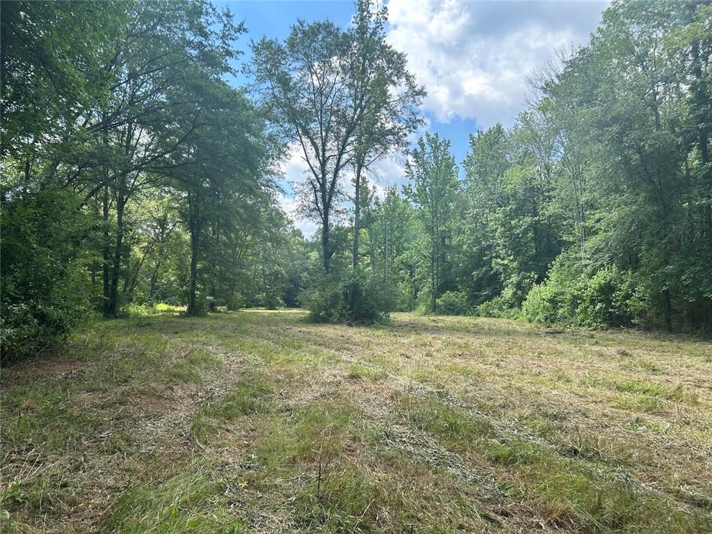 223 Riversong Road, Carrollton, Georgia image 15
