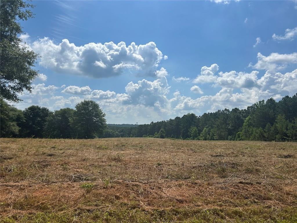 223 Riversong Road, Carrollton, Georgia image 11
