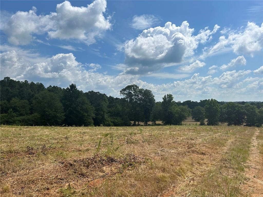 223 Riversong Road, Carrollton, Georgia image 13