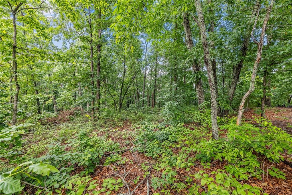 58 St Andrews Way, Ellijay, Georgia image 4