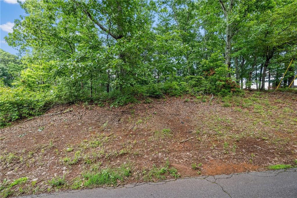 58 St Andrews Way, Ellijay, Georgia image 1