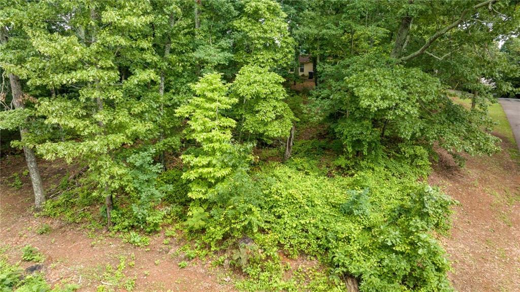 58 St Andrews Way, Ellijay, Georgia image 7