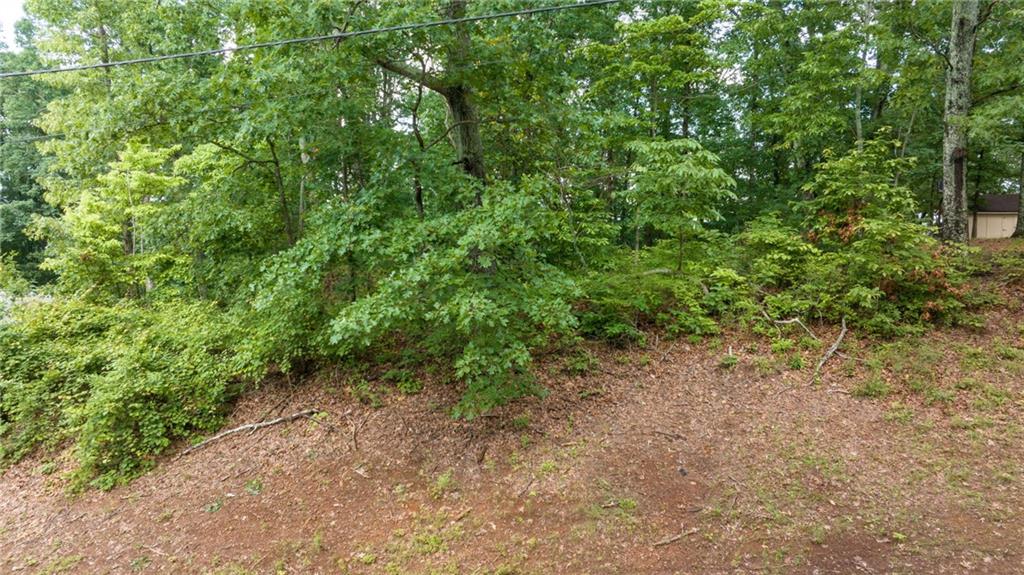 58 St Andrews Way, Ellijay, Georgia image 6