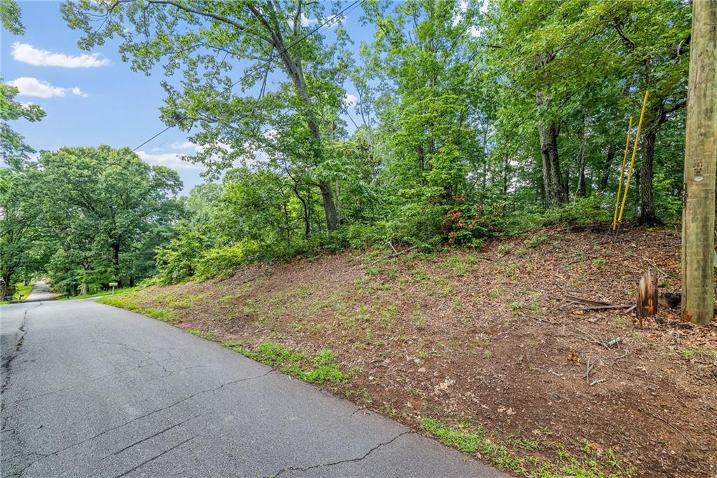 58 St Andrews Way, Ellijay, Georgia image 3