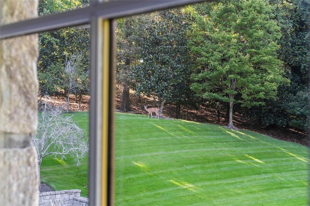 Buckhead - Residential