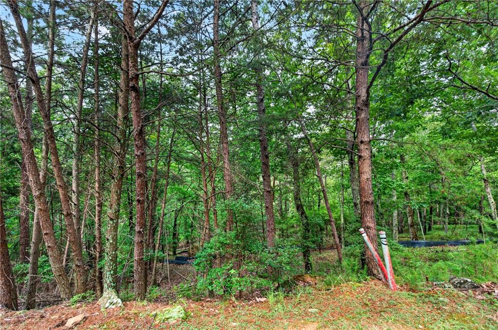 16 Ridgewater Drive SE