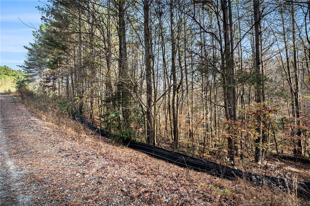 Grandview Lane, Ellijay, Georgia image 15