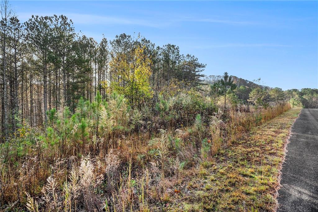 Grandview Lane, Ellijay, Georgia image 19