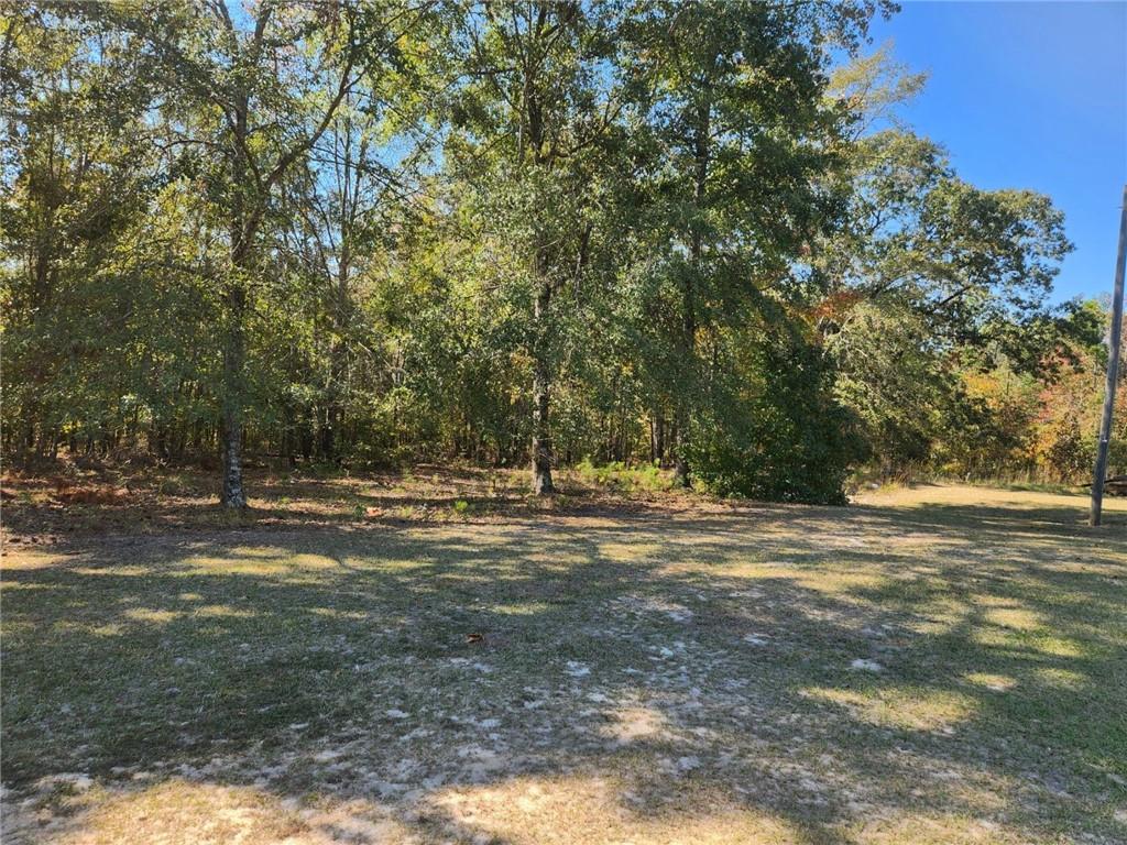 This is a Rare Opportunity to buy 60 acres 100 miles east of Atlanta. Nestled just 10 miles from the vibrant and historic downtown of Milledgeville, 184 Young Road offers a serene escape with endless possibilities. The peace and quiet is so intense you can feel it. This expansive, 60-acre property boasts level, partially cleared land, making it ideal for a variety of uses, whether you envision a recreational retreat, a productive agricultural venture, or the site of your dream home.
Once a thriving working farm, the land now offers a blank canvas for your vision. Its tranquil setting combines natural beauty with the convenience of proximity to Milledgeville, a city rich in history and charm. As Georgia's former state capital, Milledgeville is steeped in Southern heritage and home to Georgia College and State University. The picturesque downtown area is alive with an array of restaurants, unique shops, and historical landmarks that attract visitors and residents alike.
Whether you're seeking a peaceful rural lifestyle or a versatile investment, 184 Young Road is a rare gem offering both potential and proximity to a community with deep roots and modern appeal. Don’t miss this chance to own a piece of Georgia's heartland.
Priced to sell “As Is”, this is an estate sale. Probate has been completed. The property is currently has conservation status.